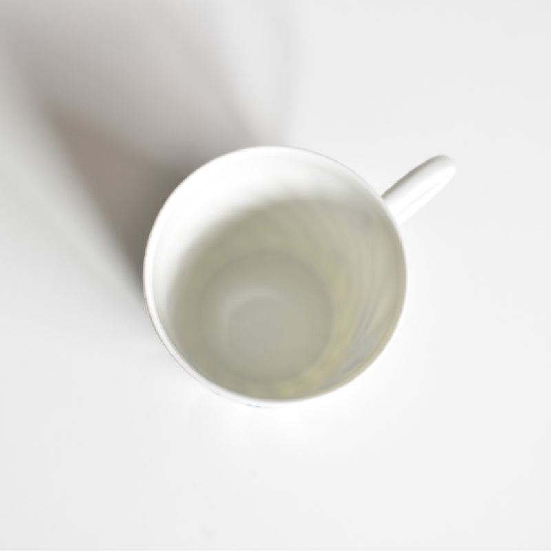 Vintage Cup and Saucer Limoges Haviland
