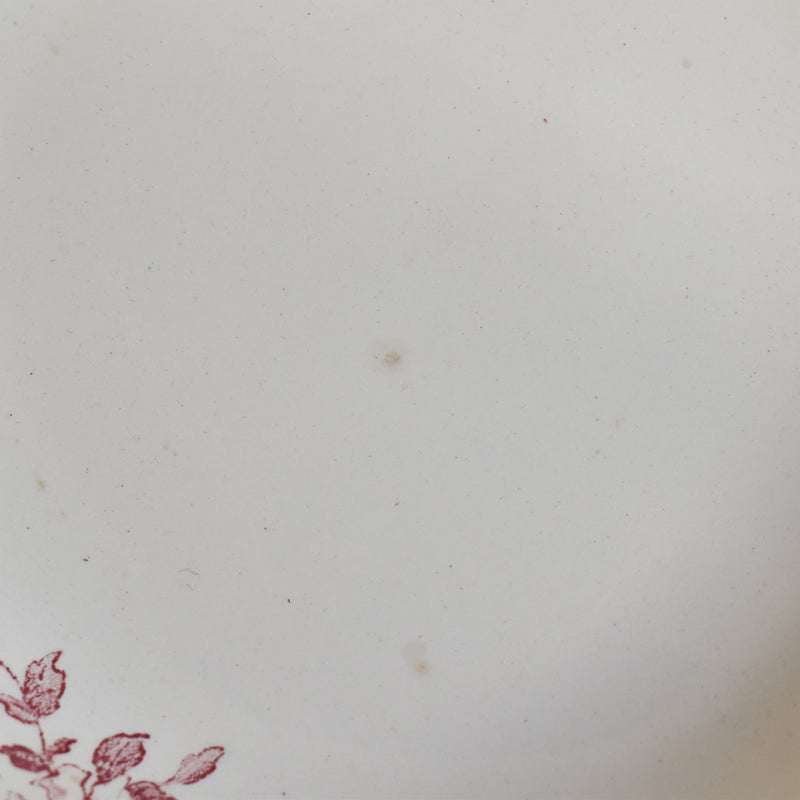 Antique deep platter, Digoin & Sarreguemines Favori