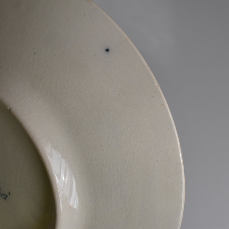 Antique Decorative Plate U&C Sarreguemines "Abricotier"