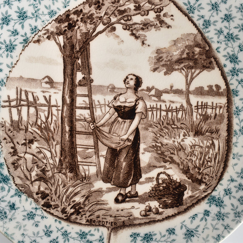 Antique Decorative Plate U&C Sarreguemines "Abricotier"