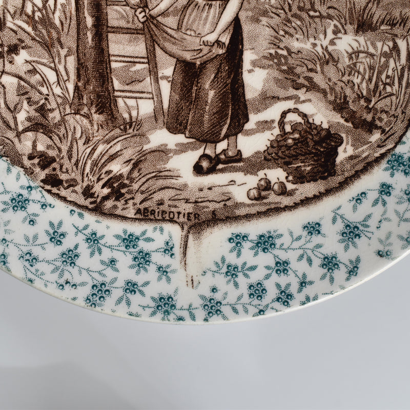 Antique Decorative Plate U&C Sarreguemines "Abricotier"