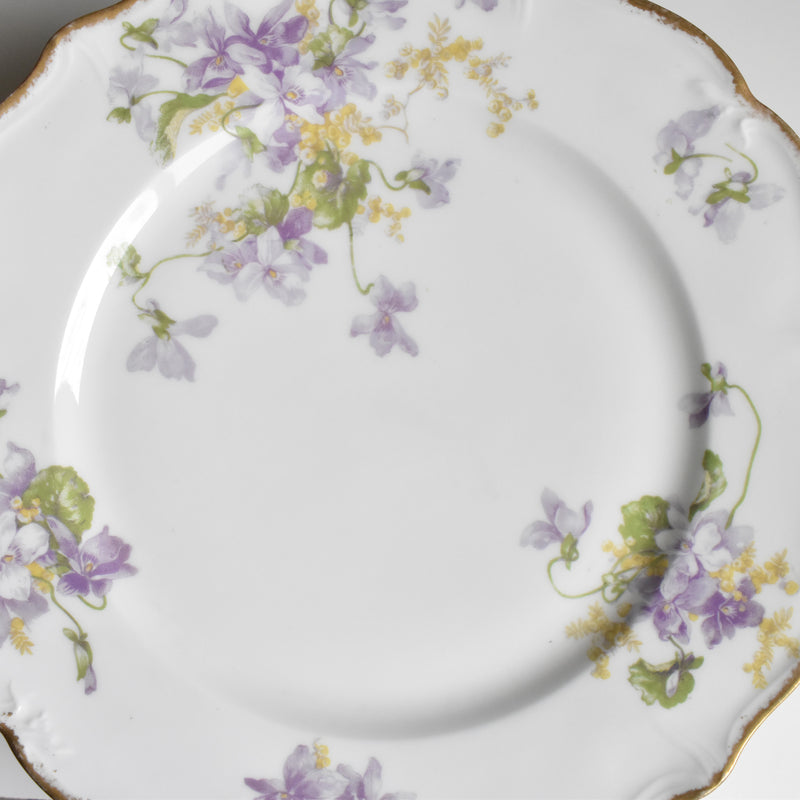 Antique Plate Limoges Charles Ahrenfeldt Emile Bourgeois A
