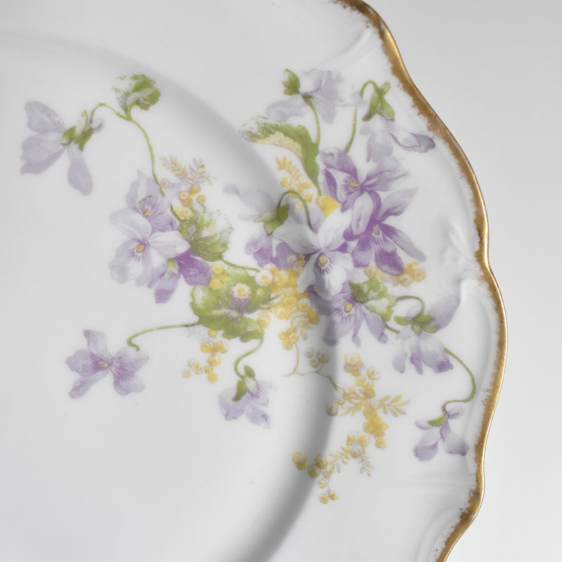 Antique Plate Limoges Charles Ahrenfeldt Emile Bourgeois A