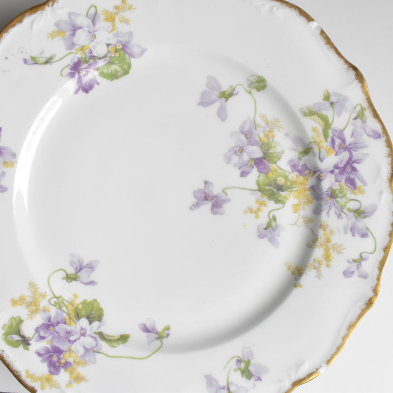 Antique plate Limoges Charles Ahrenfeldt Emile Bourgeois B