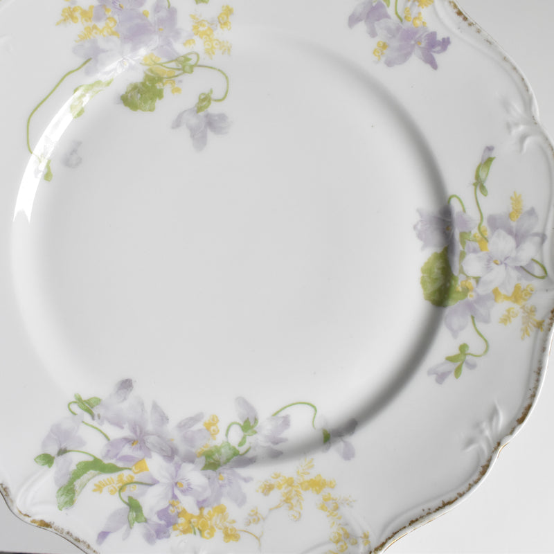 Antique Dessert Plate Limoges Charles Ahrenfeldt Emile Bourgeois A