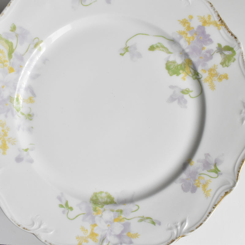 Antique Dessert Plate, Limoges, Charles Ahrenfeldt, Emile Bourgeois B