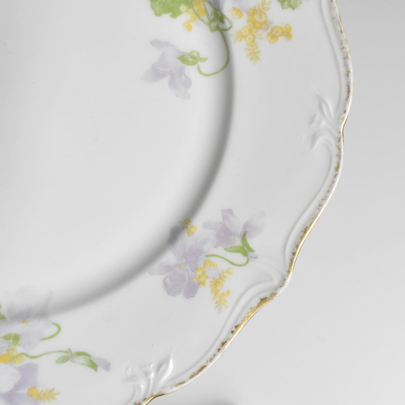 Antique Dessert Plate, Limoges, Charles Ahrenfeldt, Emile Bourgeois B