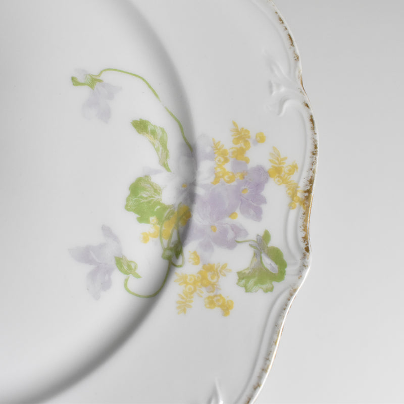 Antique Dessert Plate, Limoges, Charles Ahrenfeldt, Emile Bourgeois B