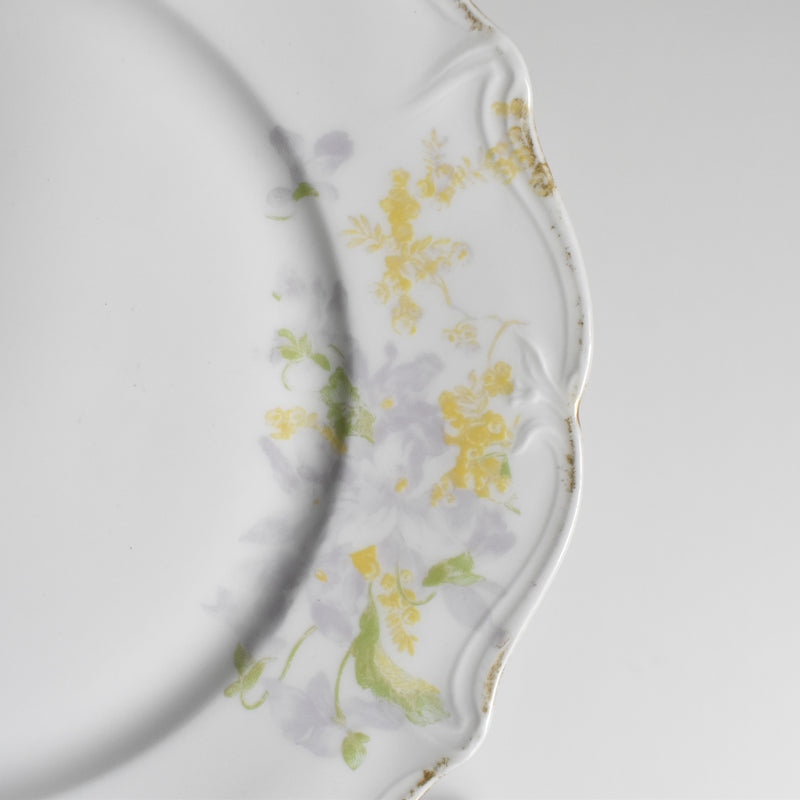 Antique Dessert Plate, Limoges, Charles Ahrenfeldt, Emile Bourgeois B