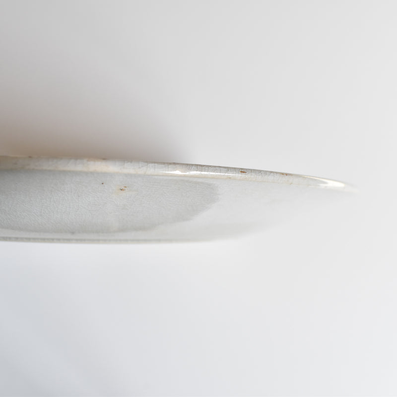 Antique Plate Sarreguemines Opaque de Sarreguemines A