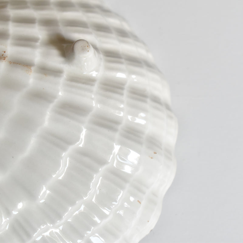 Vintage Shell Dish Crown Devon E