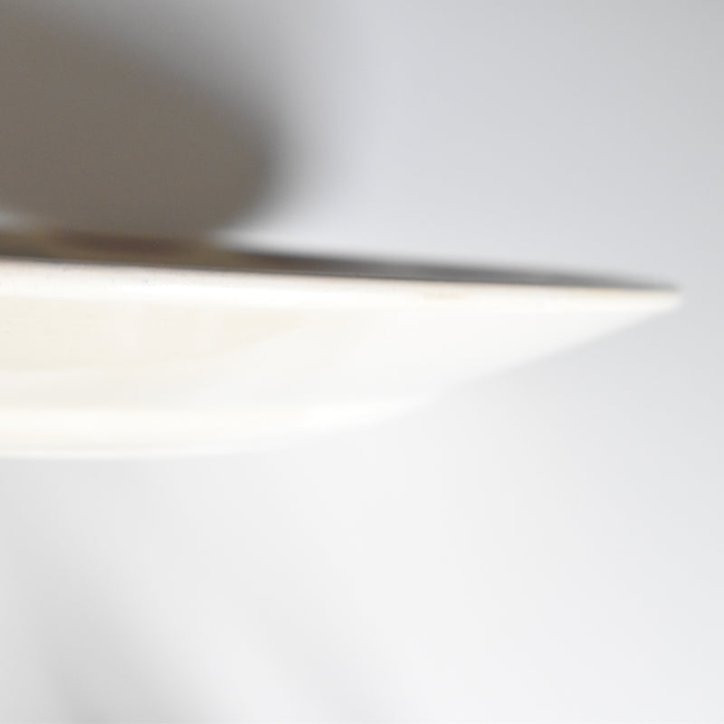 アンティーク大皿 K&Gリュネヴィル Evreux