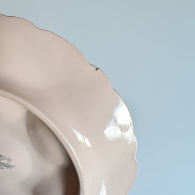 ヴィンテージオイスタープレートディゴワン＆サルグミンヌ ピンク B