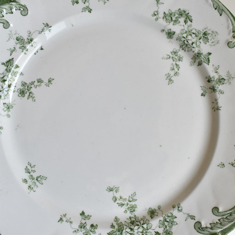 Antique Plate Ridgeway Chiswick (E.Bourgeois) A