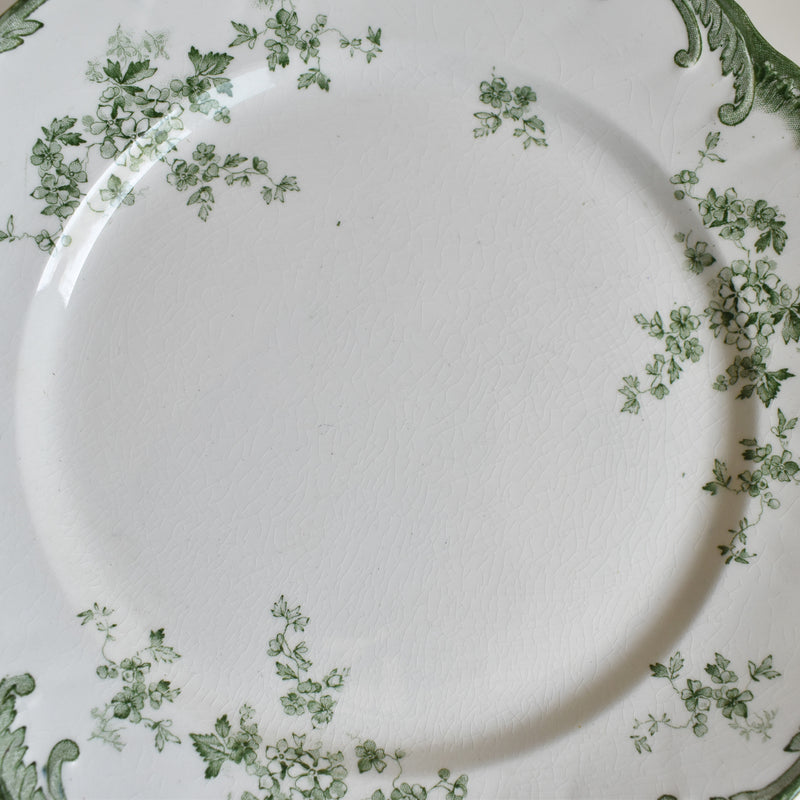 Antique Plate Ridgway Chiswick (E.Bourgeois) B