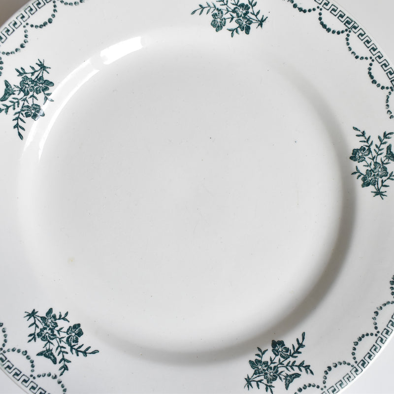 Vintage plate: Sarreguemines CERANORD 427 A