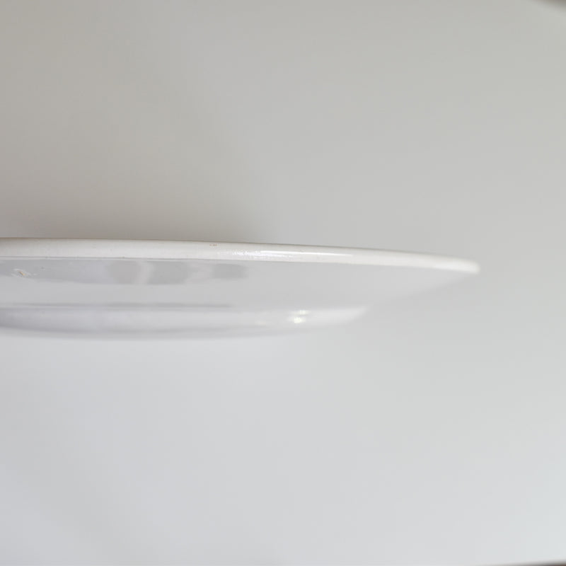 Vintage Plate Digoin & Sarreguemines Janik A
