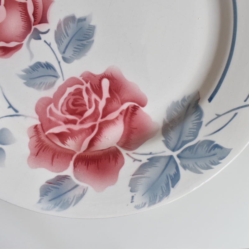 Vintage Plate Digoin & Sarreguemines Janik A