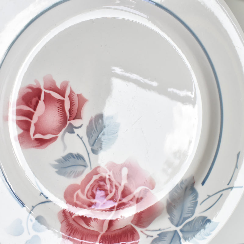 Vintage Plate Digoin & Sarreguemines Janik A