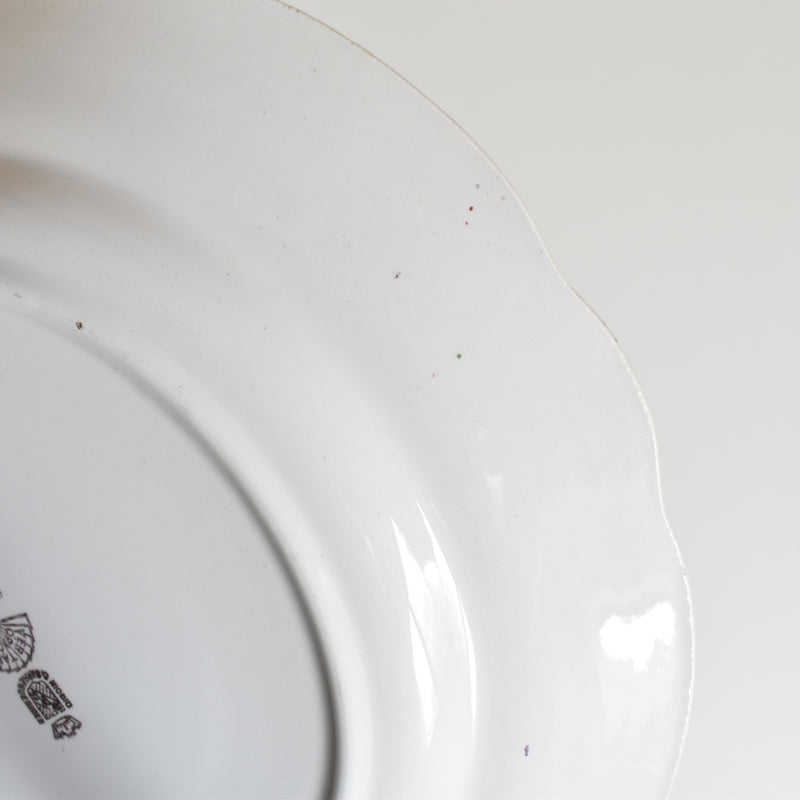 Vintage Plate: Digoin & Sarreguemines Colbert A