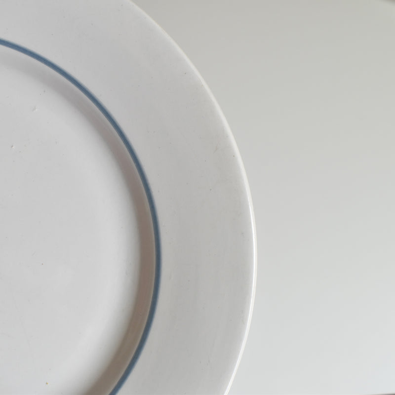 Vintage Plate Digoin & Sarreguemines Janik A