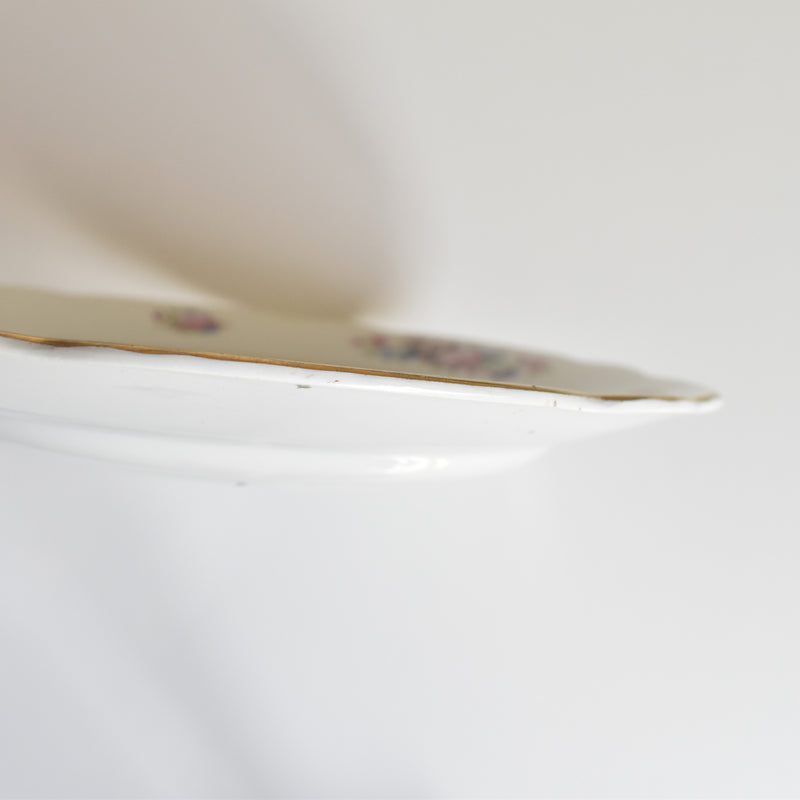 Vintage Plate: Digoin & Sarreguemines Colbert A