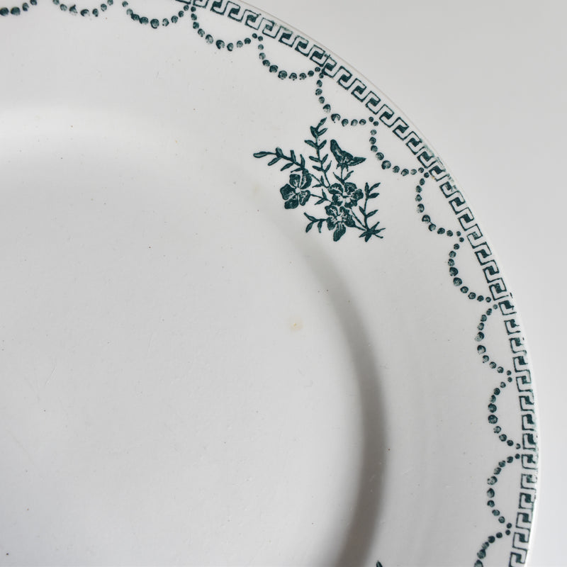 Vintage plate: Sarreguemines CERANORD 427 A