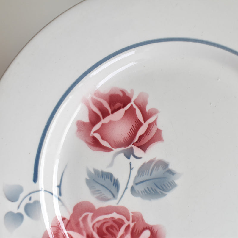 Vintage Plate Digoin & Sarreguemines Janik A
