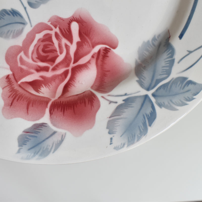 Vintage Plate Digoin & Sarreguemines Janik A
