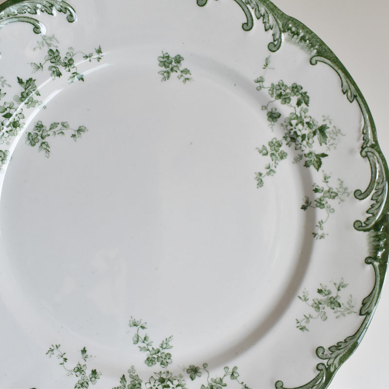 Antique Plate Ridgway Chiswick C