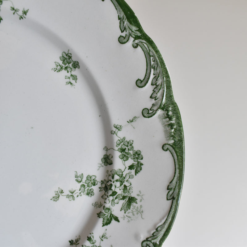 Antique Plate Ridgway Chiswick C