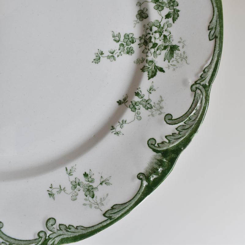 Antique Plate Ridgway Chiswick C