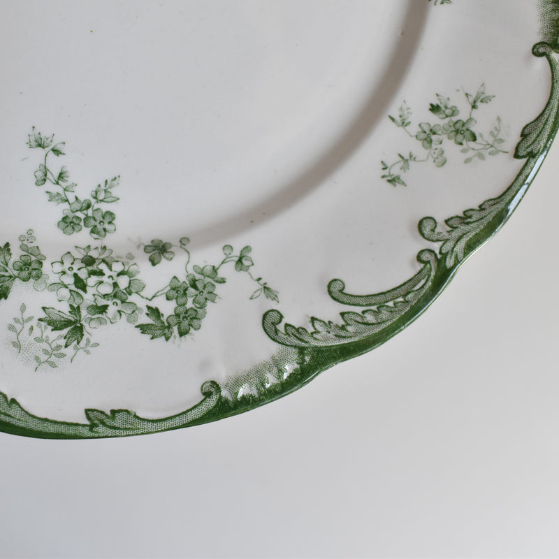 Antique Plate Ridgway Chiswick C