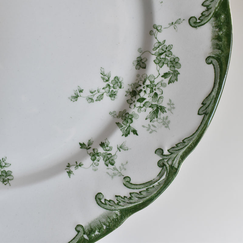 Antique Plate Ridgway Chiswick C