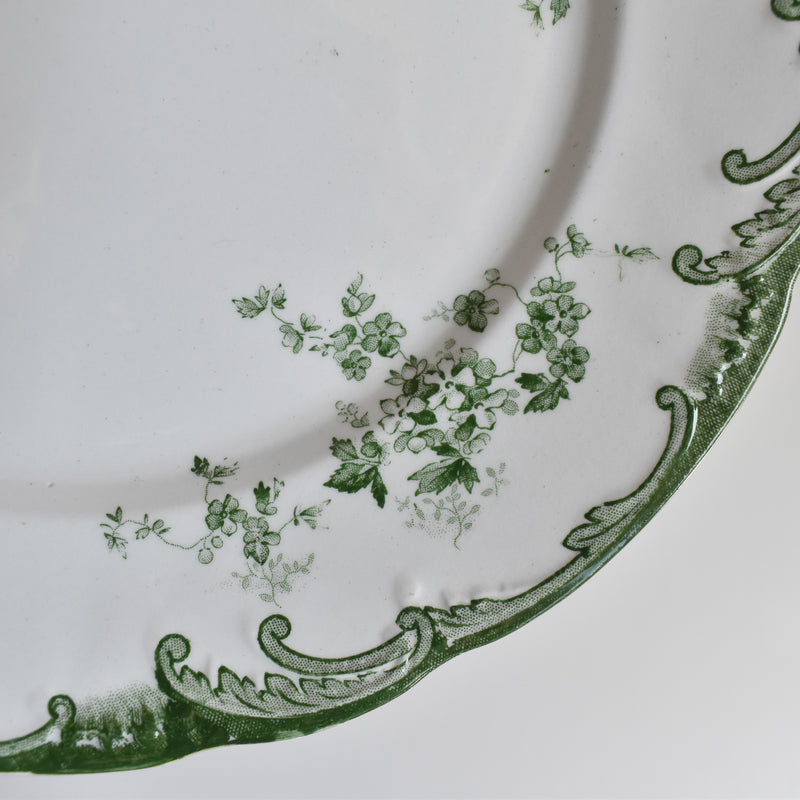 Antique Plate Ridgway Chiswick C