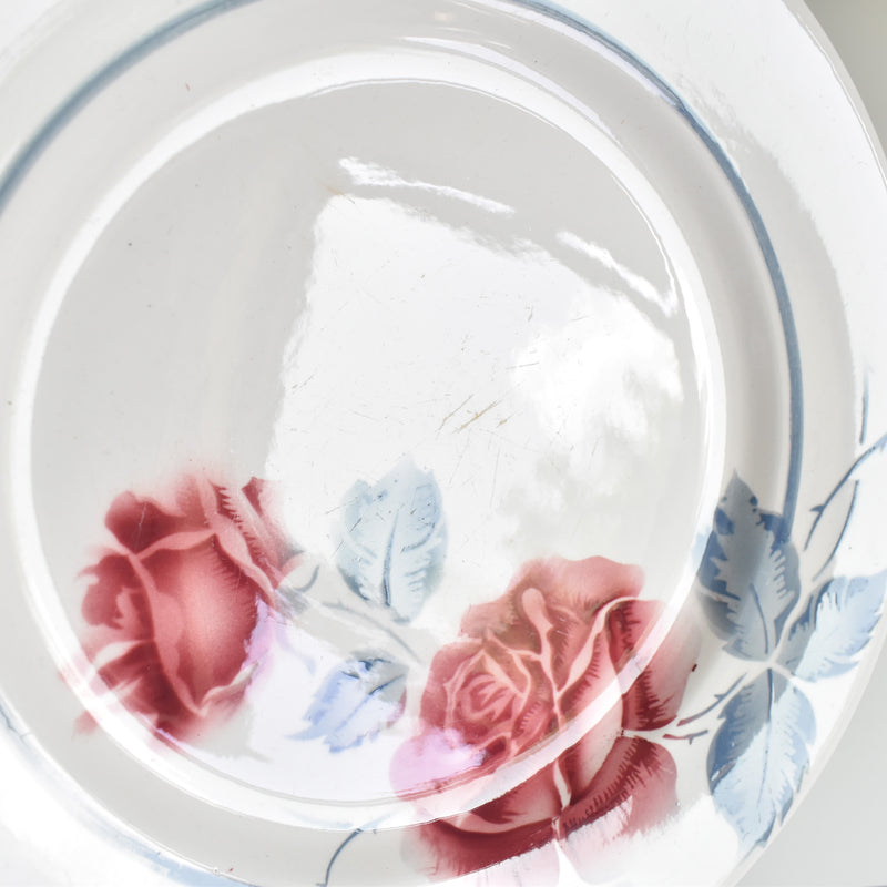 Vintage plate, Digoin & Sarreguemines, Janik B