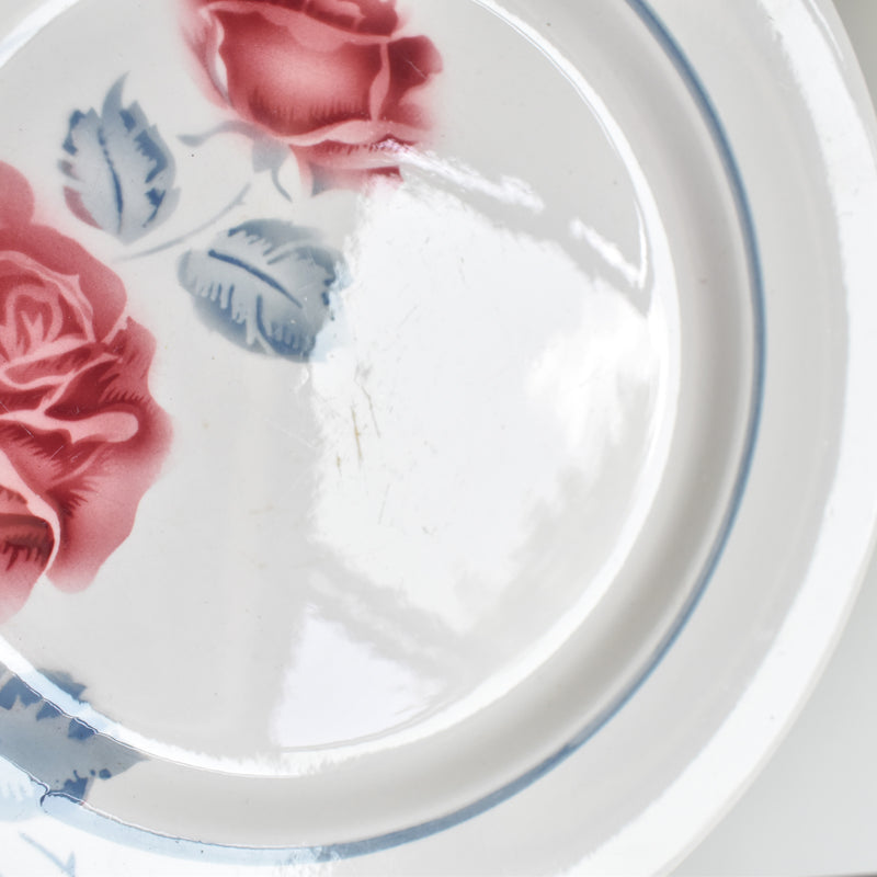 Vintage plate, Digoin & Sarreguemines, Janik B