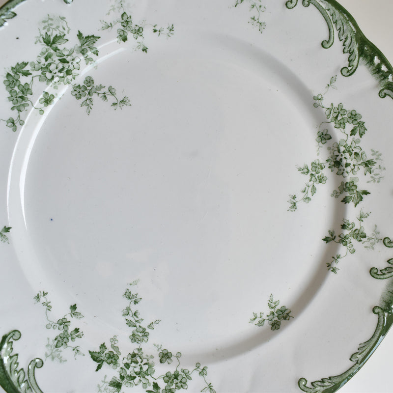 Antique Plate Ridgway Chiswick D