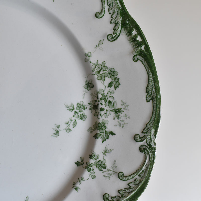 Antique Plate Ridgway Chiswick D