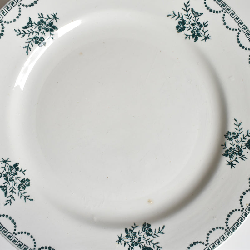 Vintage Plate Saint-Amand CERANORD 427 C