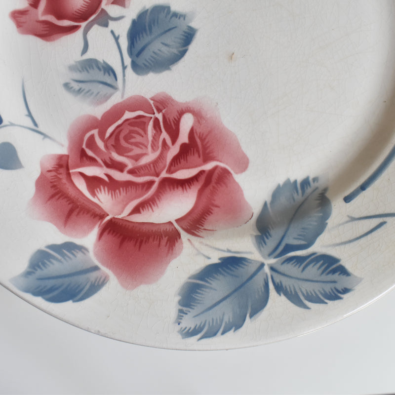 Vintage Plate, Digoin & Sarreguemines Janik C