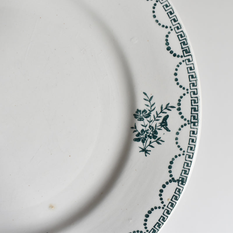 Vintage Plate Saint-Amand CERANORD 427 C