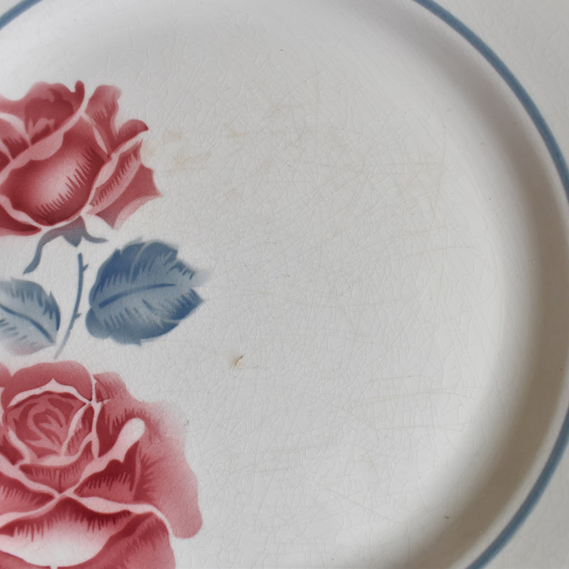 Vintage Plate, Digoin & Sarreguemines Janik C