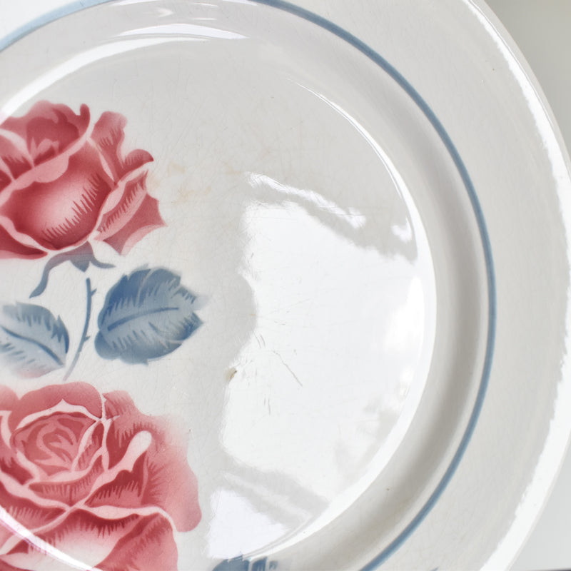 Vintage Plate, Digoin & Sarreguemines Janik C