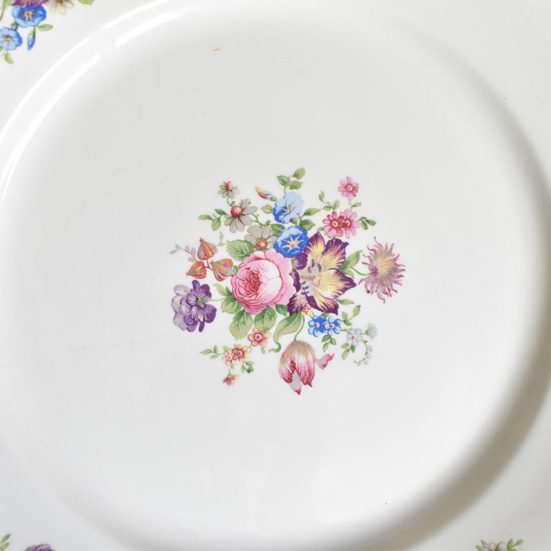 Vintage Plate Digoin & Sarreguemines Colbert C