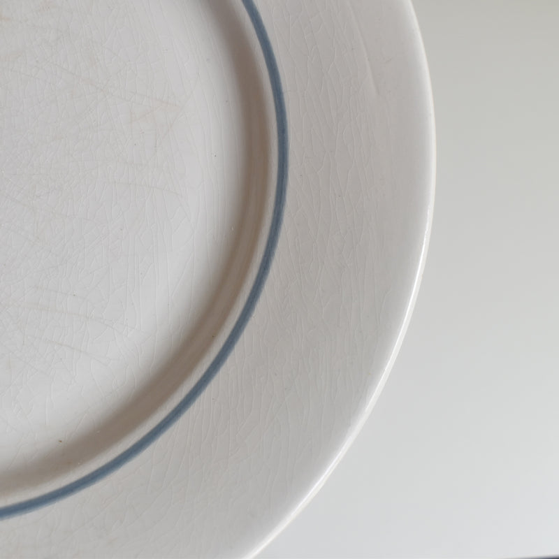 Vintage Plate, Digoin & Sarreguemines Janik C