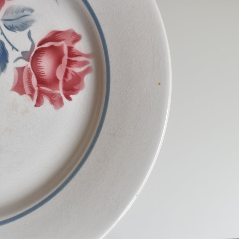 Vintage Plate, Digoin & Sarreguemines Janik C