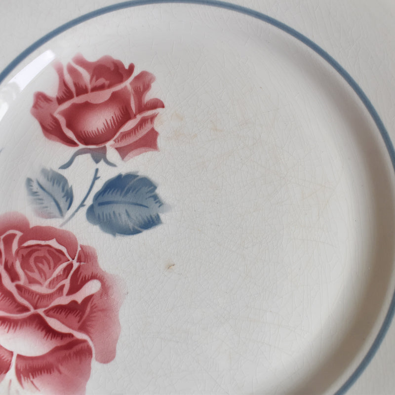 Vintage Plate, Digoin & Sarreguemines Janik C