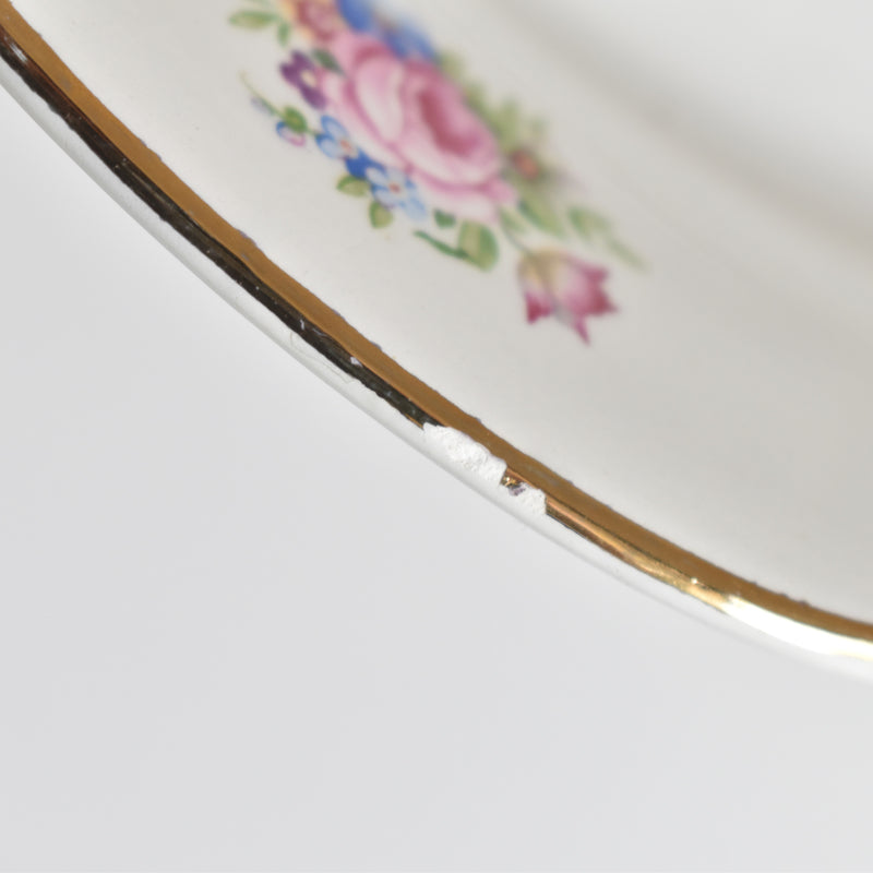 Vintage Plate Digoin & Sarreguemines Colbert C