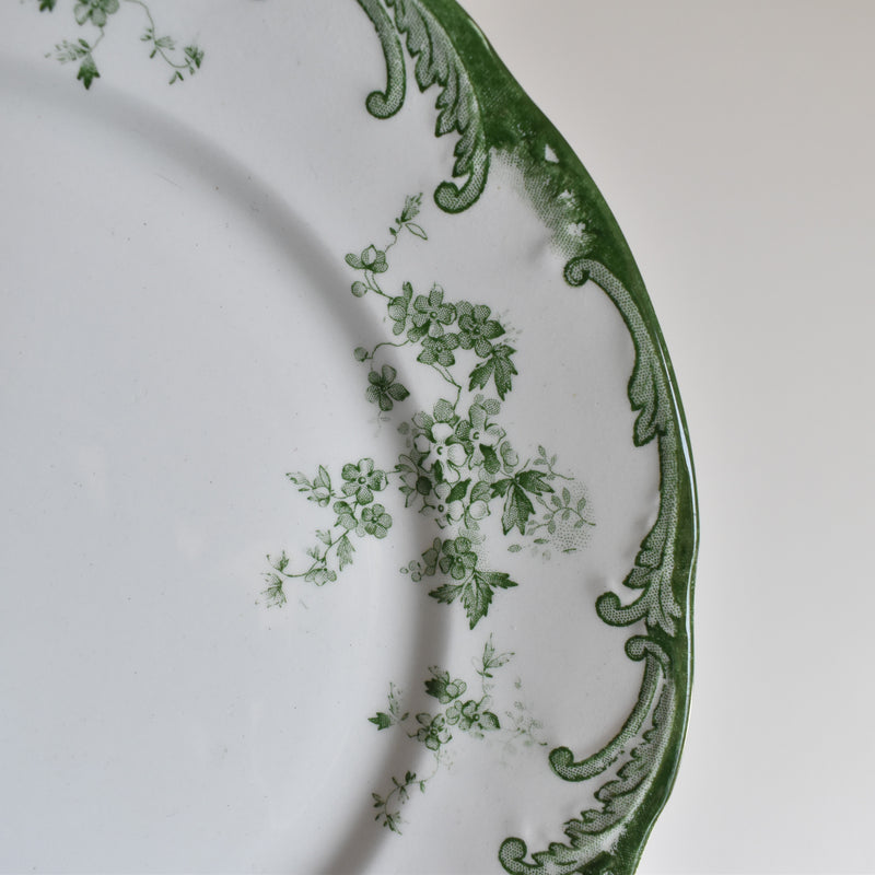 Antique Plate Ridgway Chiswick E